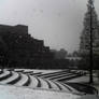 Snowy Steps