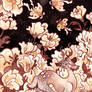 Flora and Fauna