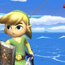 Toon Link 5