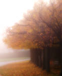 autumn by klaic