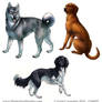 Dog Breeds - Part Two