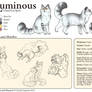 Luminous Character Sheet