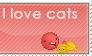 I love cats