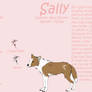 Sally Reference Sheet