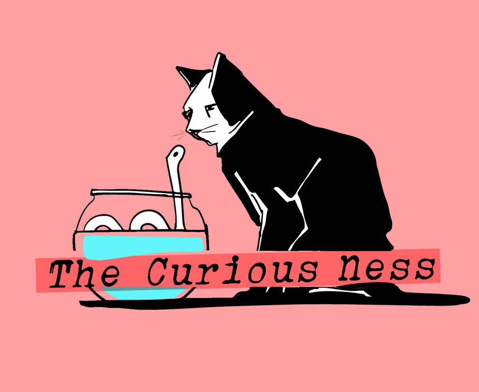 Image result for Curiousness: