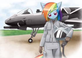 Commission Rainbow Dash and A-164