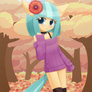 Coco pommel