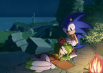 Commission Sonic and Cosmo camping night on Ourano
