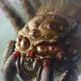 Spider portrait