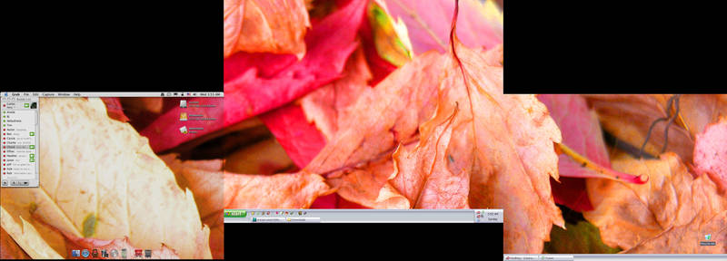 autumn desktop