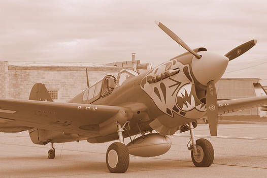 P-40