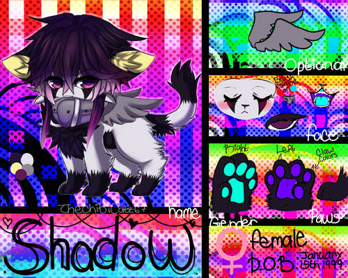 Shadow ref (updated)