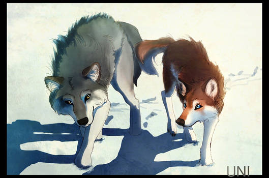 Us Wolves