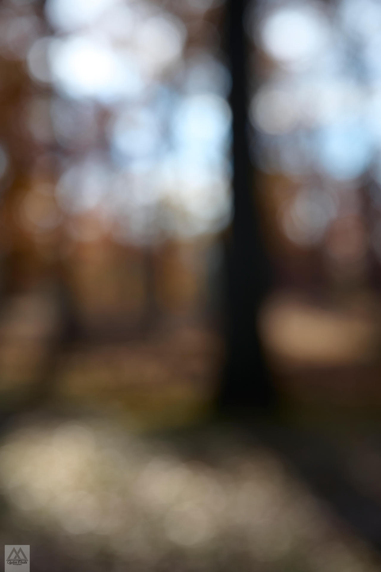 Z72 9136-Edit