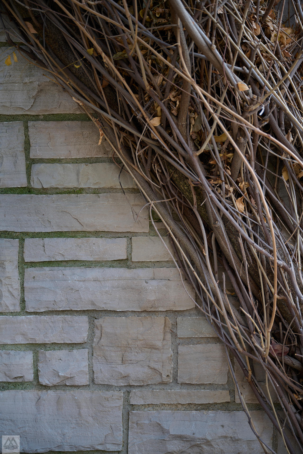 Z72 9366-Edit