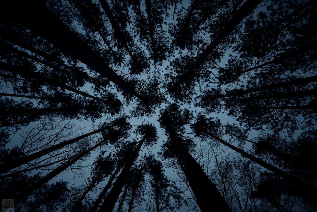 Z72 9621-Edit