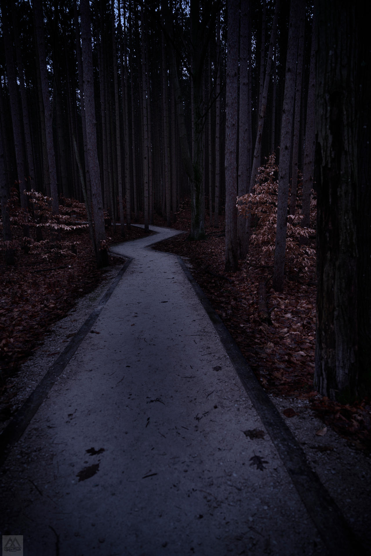 Z72 9618-Edit