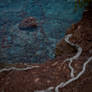 Z72 0262-Edit