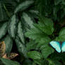 Z72 0067-Edit