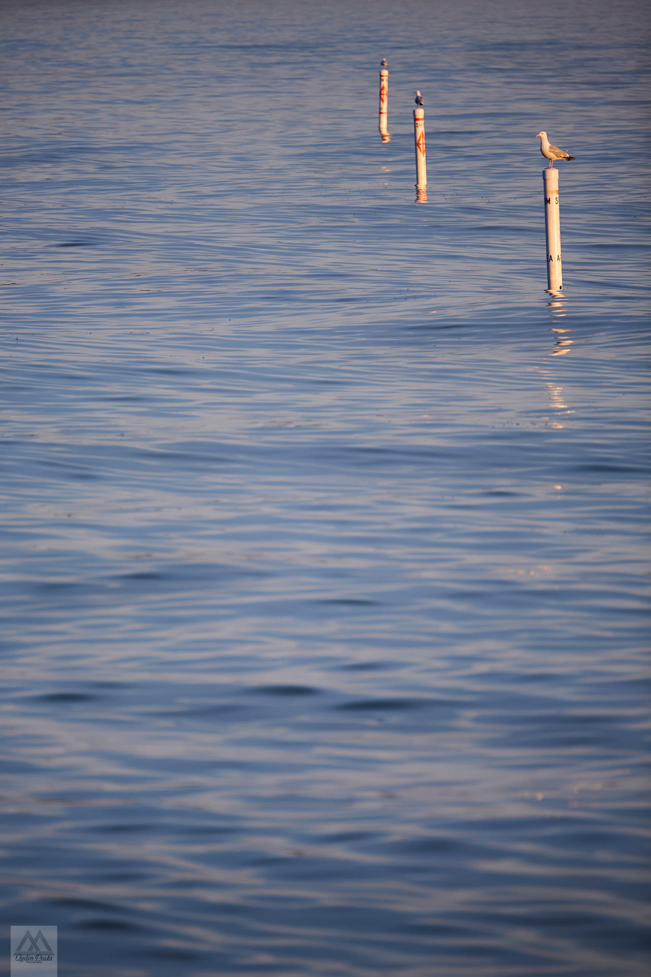 Z72 1890-Edit