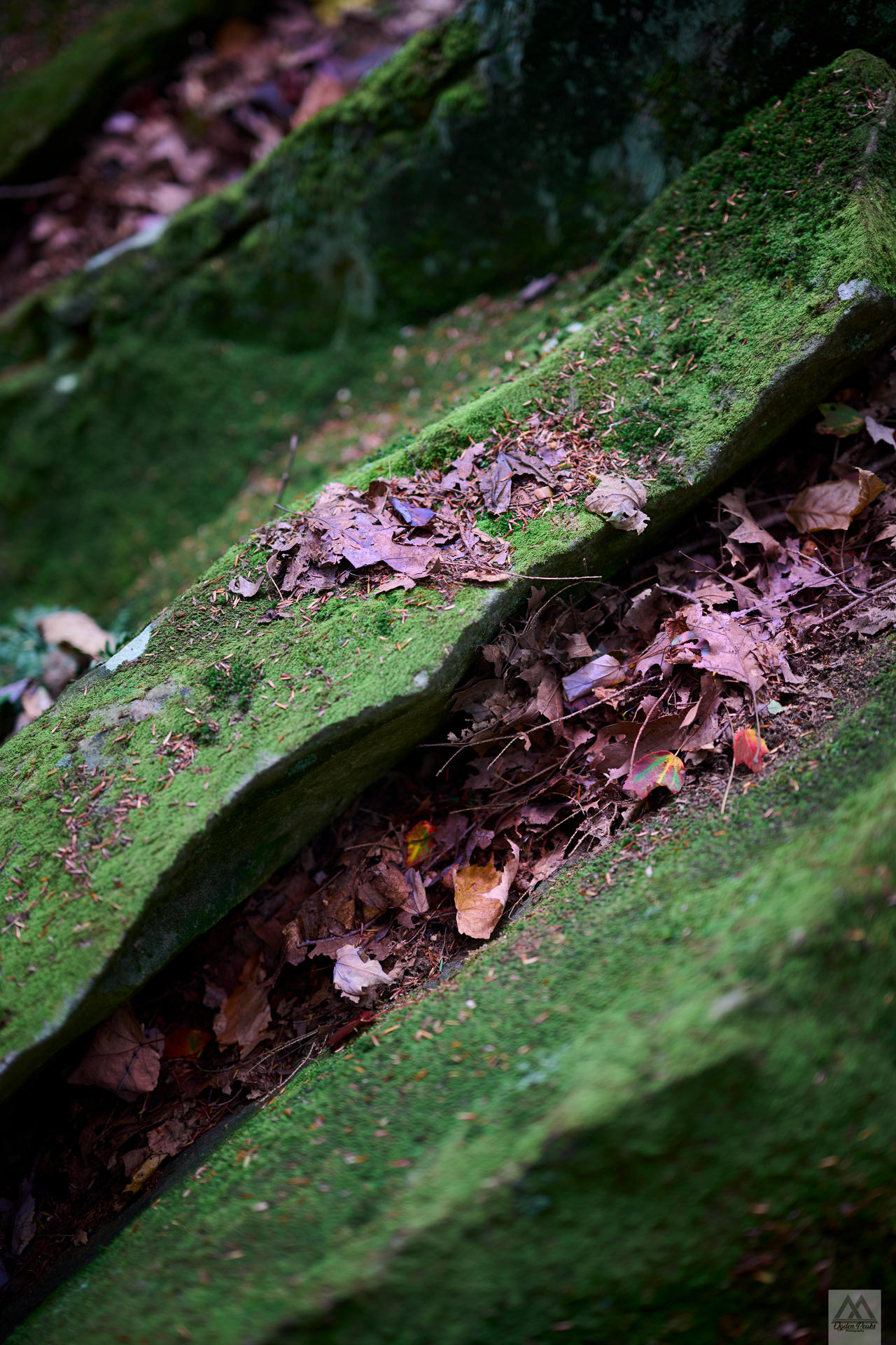 Z72 2911-Edit