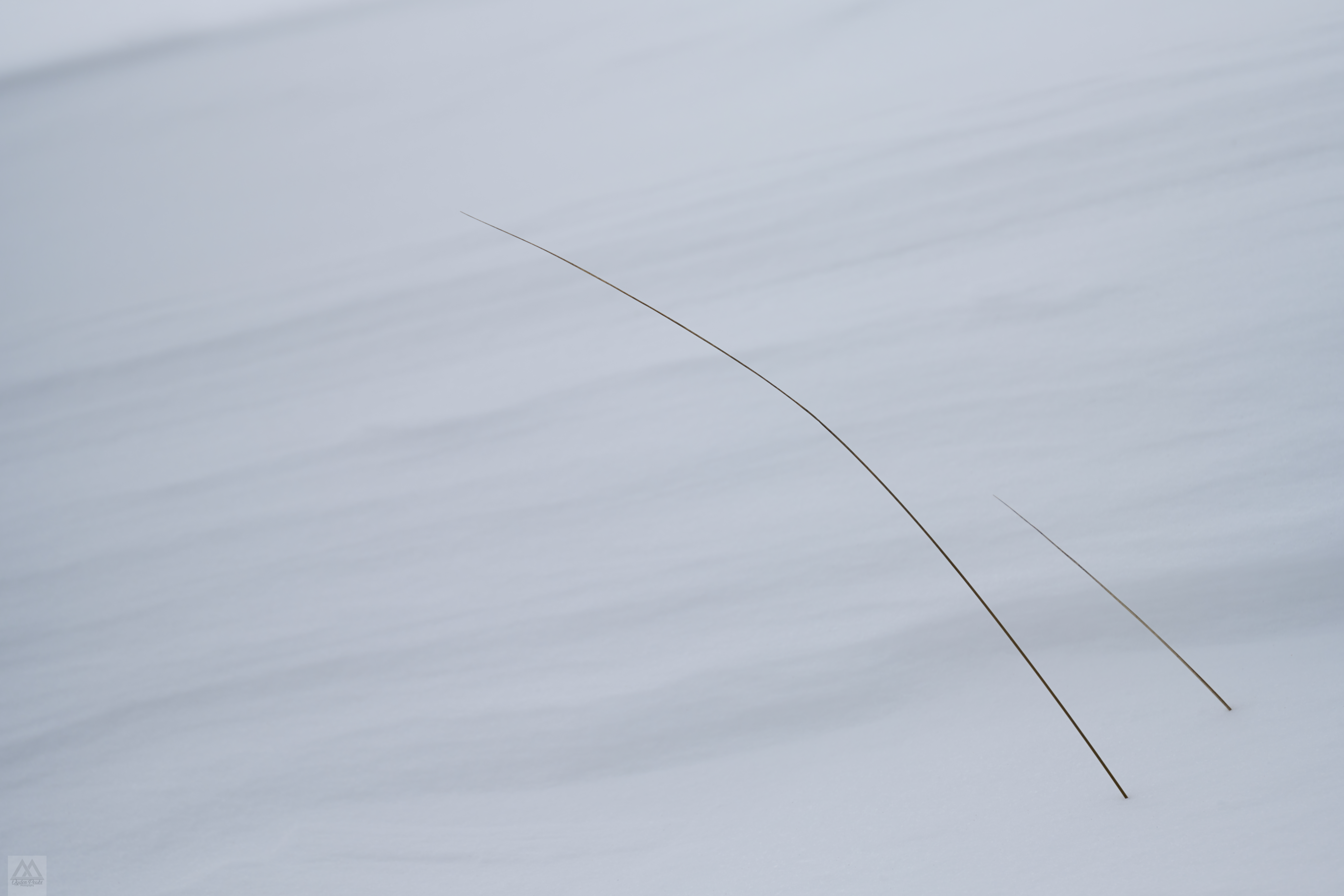 Z72 5039-Edit