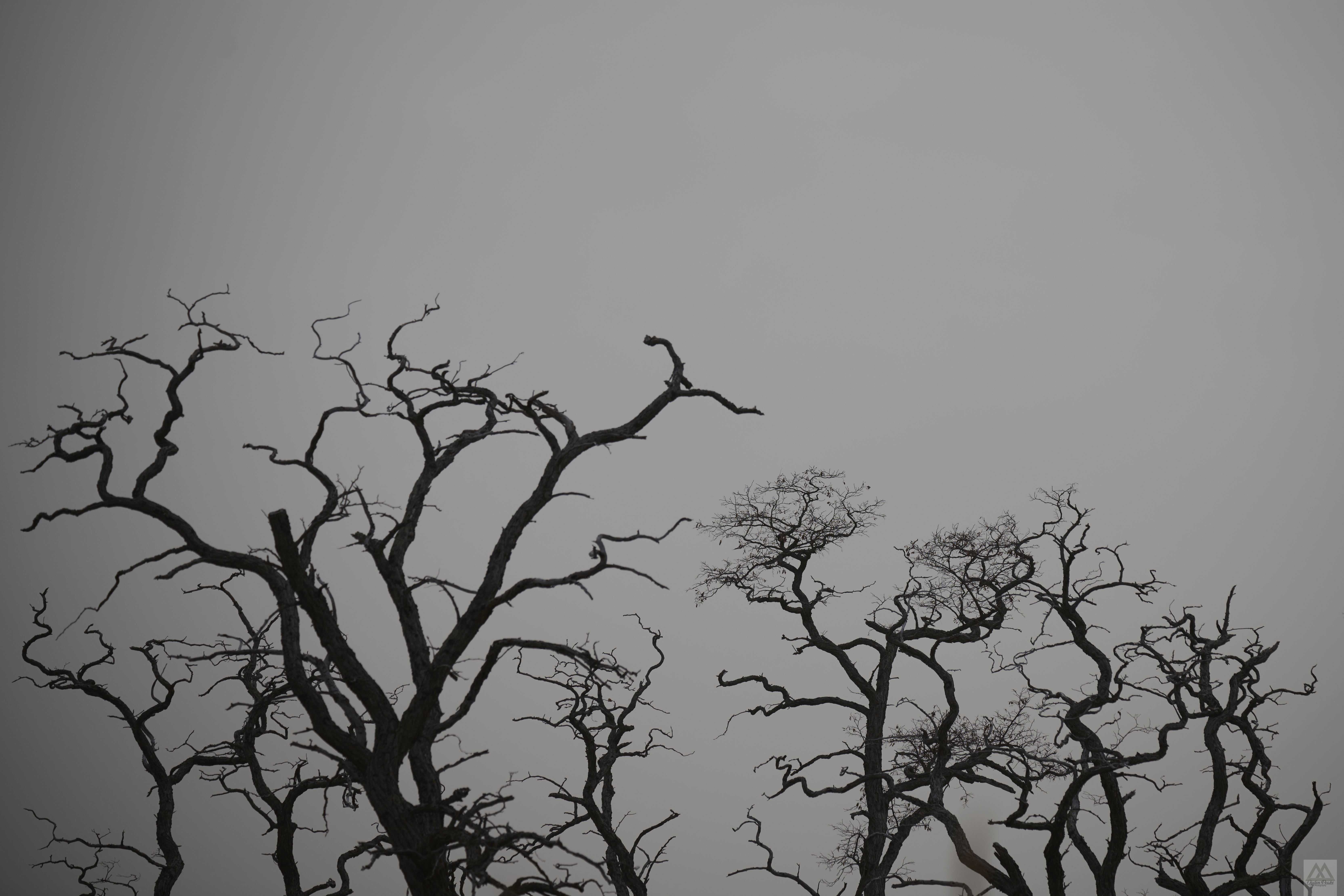 Z72 5283-Edit