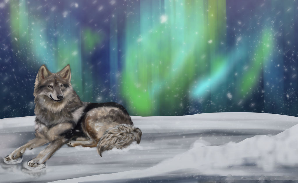 Native American Indian Dog *video draw*