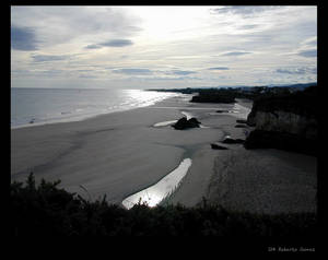 La playa de las gaviotas