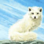 Arctic fox