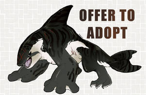 Killer ( Offer to Adopt - Closed )