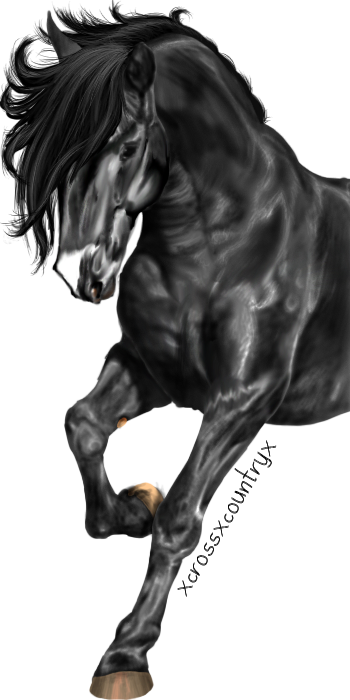 Horse Digital Paint