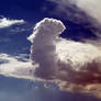 Fist cloud