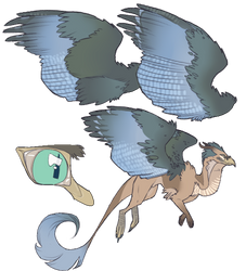 Fylkir species auction #2 | CLOSED |