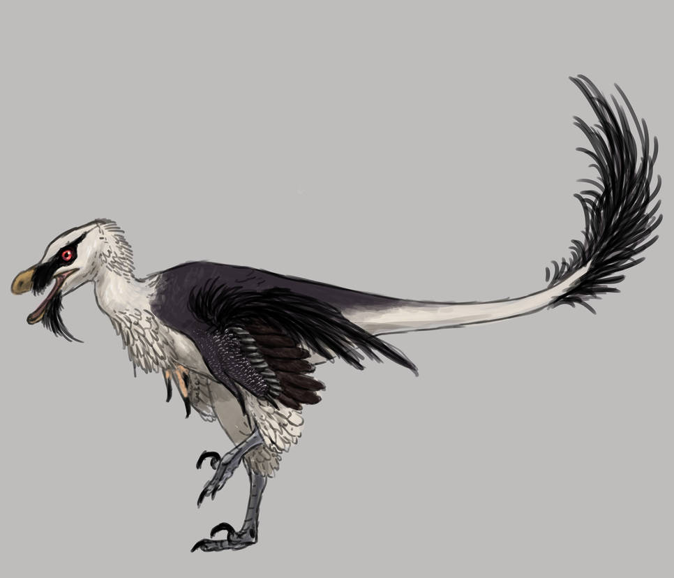 Bearded Vulture Velociraptor by SmallMicroraptor on DeviantArt