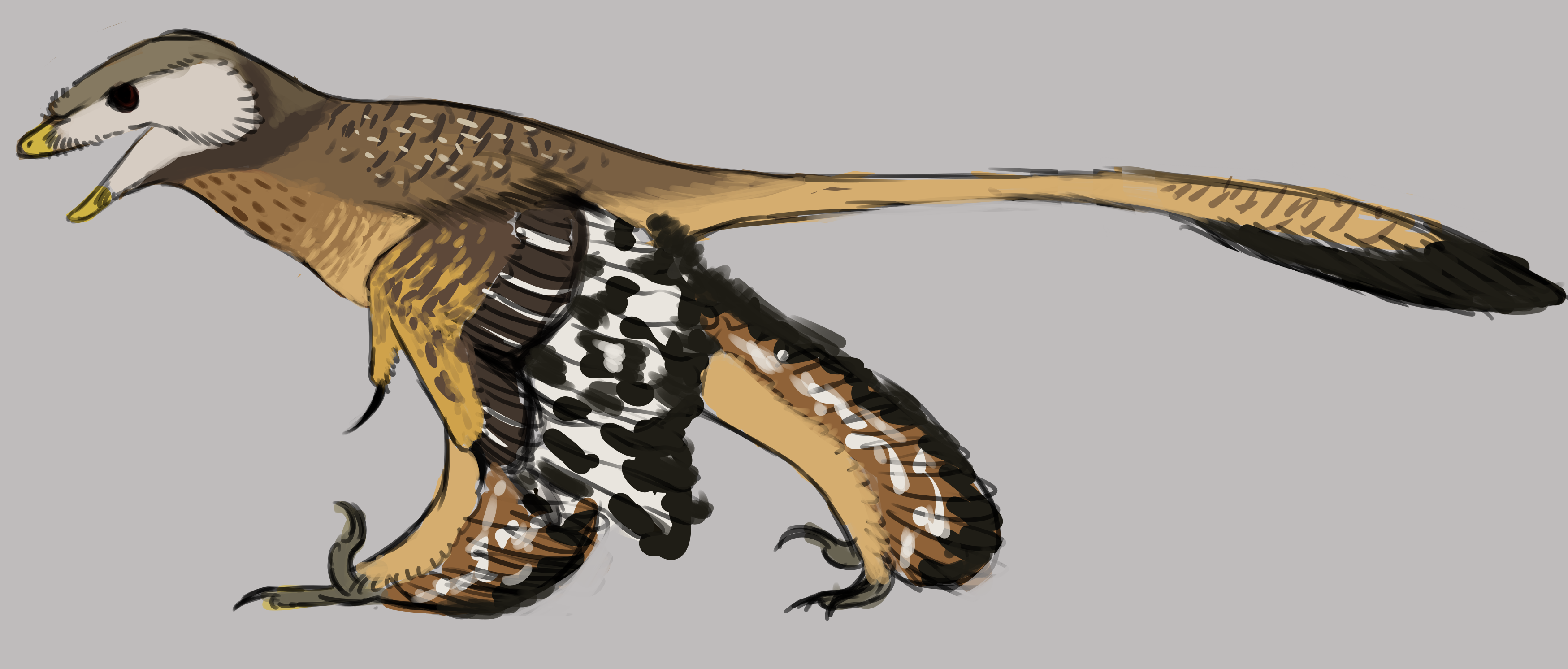 Sinornithosaurus Sinornithosaurus by SmallMicroraptor on DeviantArt
