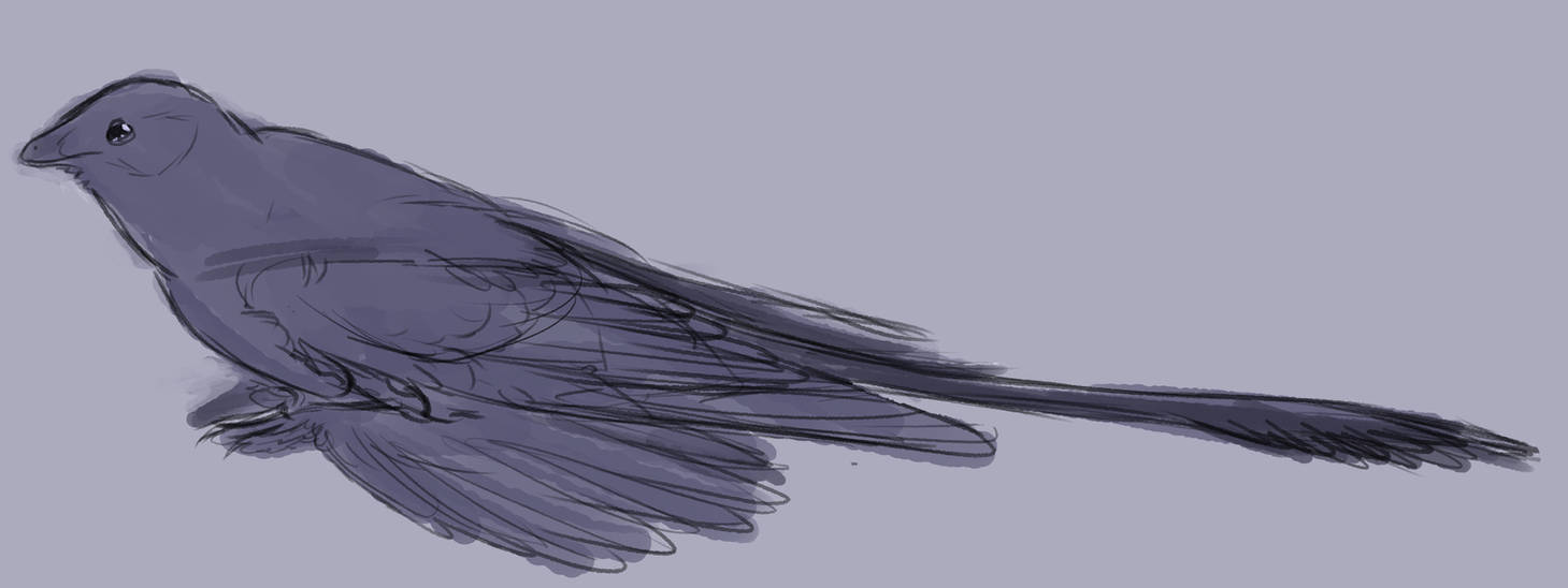 Microrapterr sit by SmallMicroraptor on DeviantArt