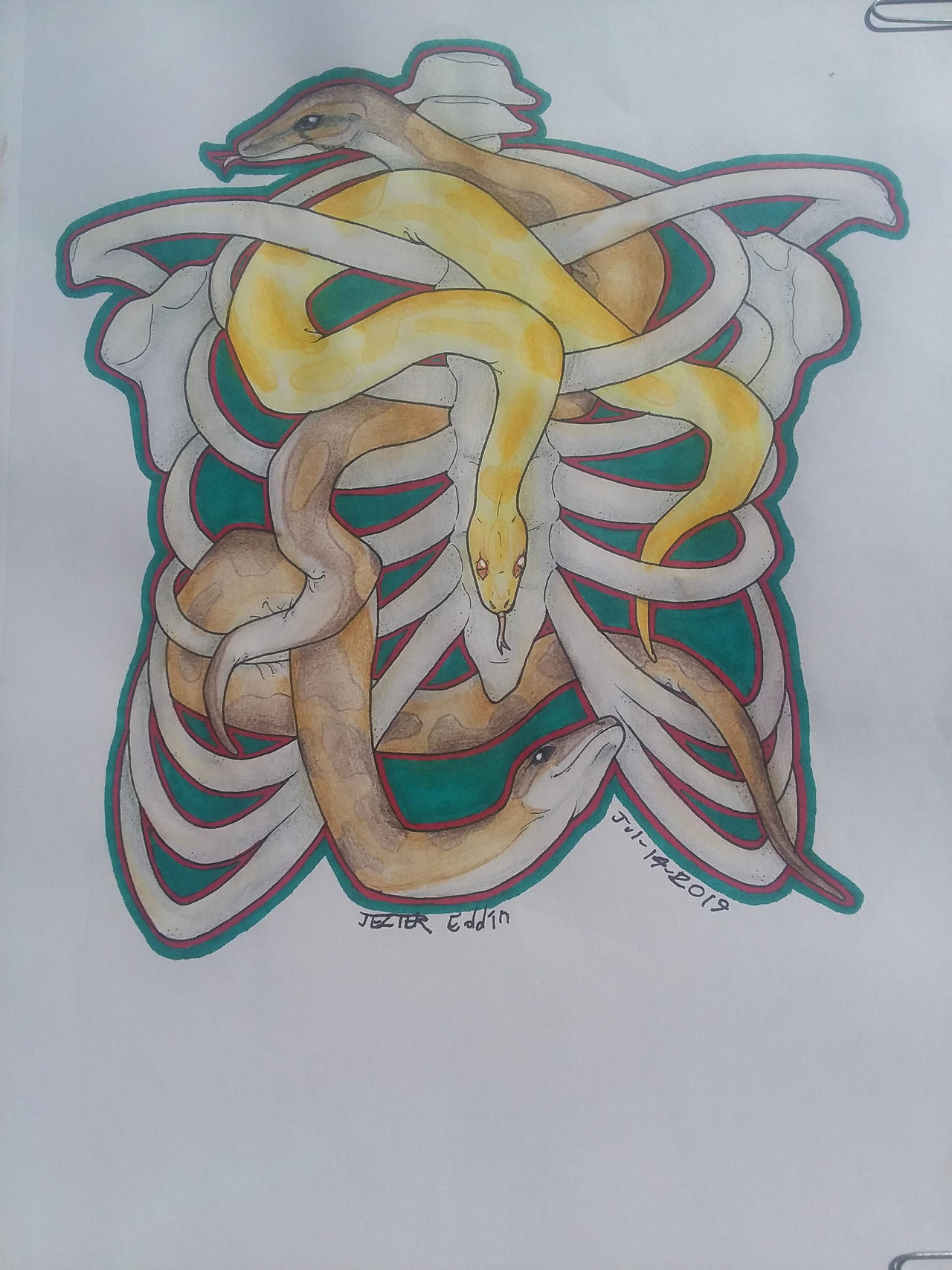 Snakes in a rib cage by JezterEddin on DeviantArt