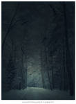 Nightshades Forest by vampsss