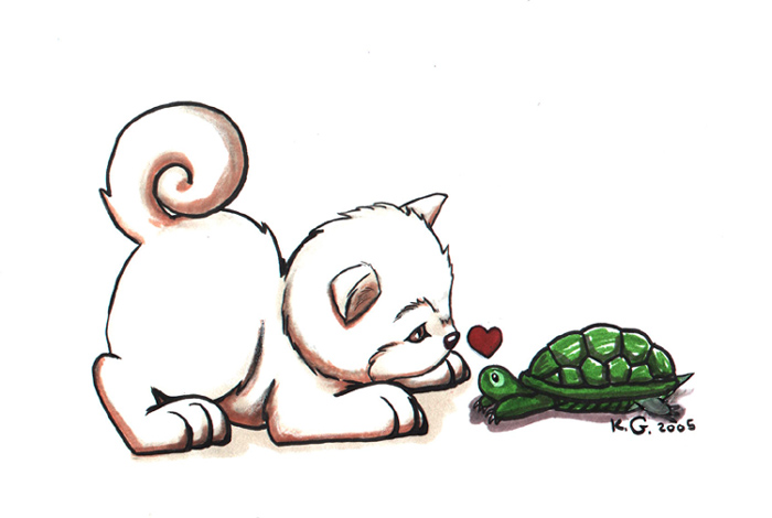 Turtle Luv