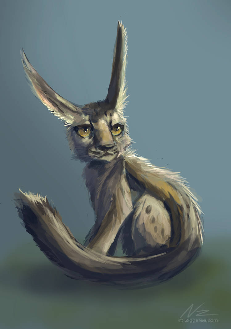 Cabbit by Ziggafee on DeviantArt