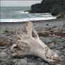 Icelandic Beach