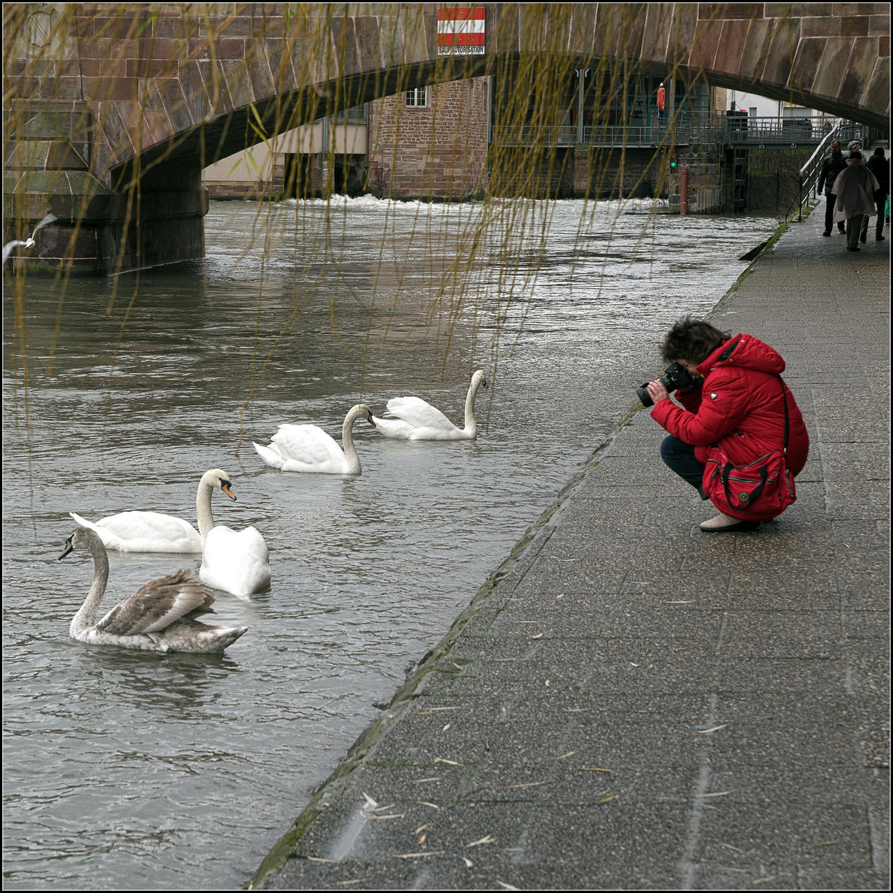 Strasbourg