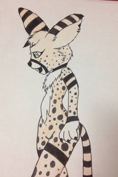 Zaphira the Serval.2