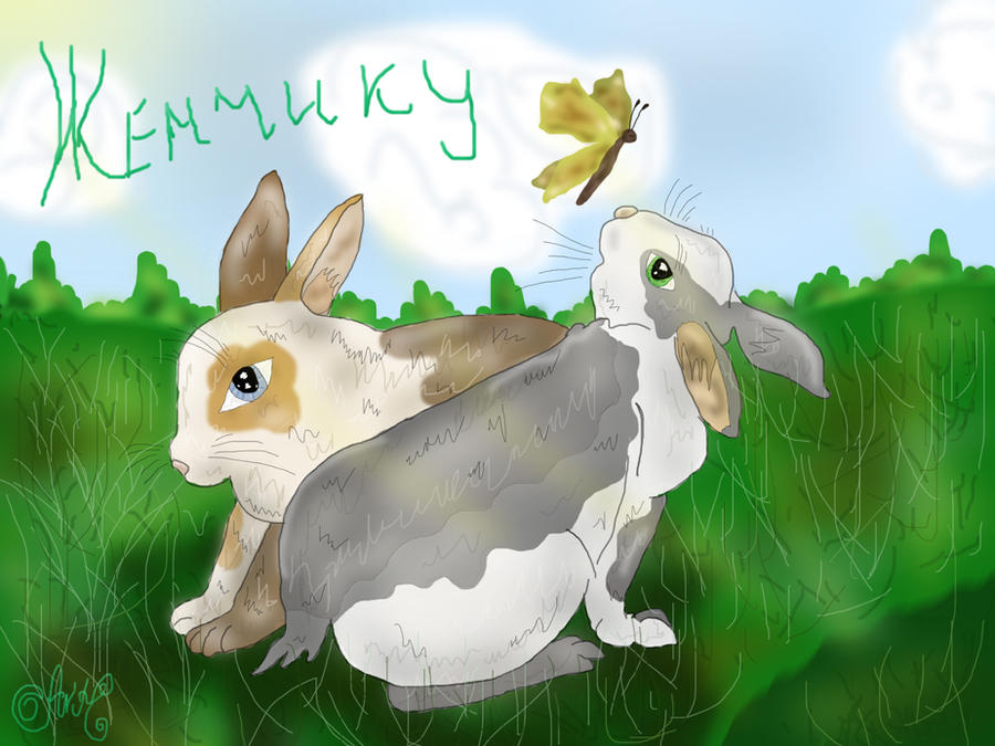 Deviantart Mini Rabbit Rabbits by ArtMinako on DeviantArt