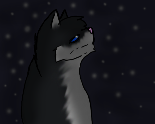 Bluestar