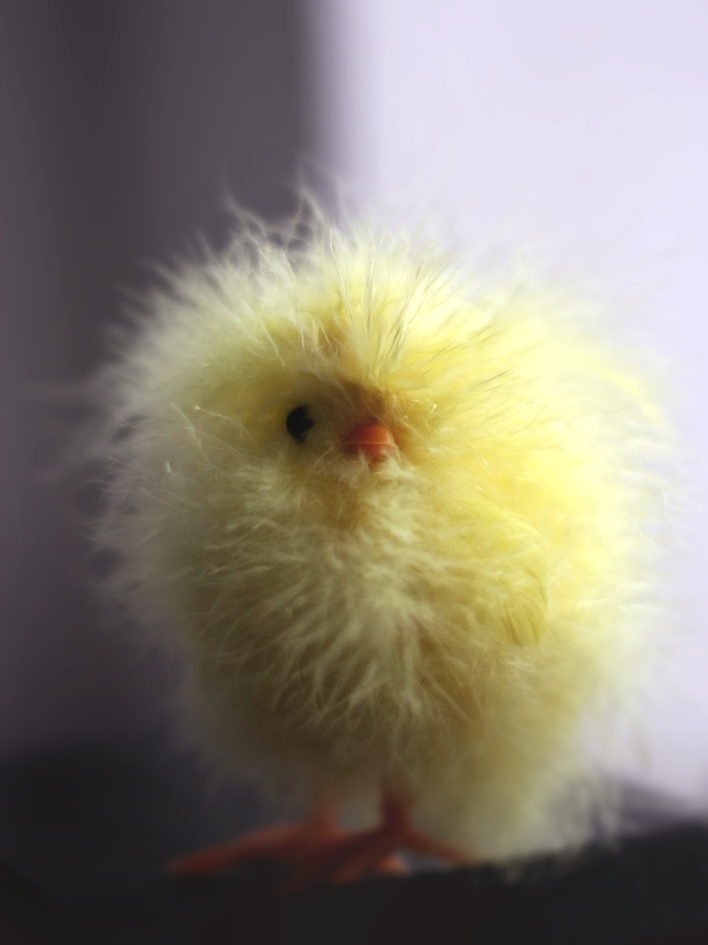 chick fluff