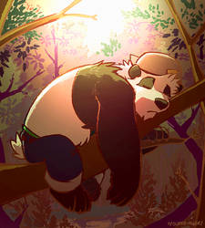 Sleepy Panda