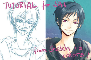 Tutorial SAI: sketch to colors