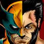 Wolverine / Logan Close Up Colored Version